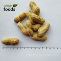 Neue Crop Raw Peanut Inshell zum Verkauf